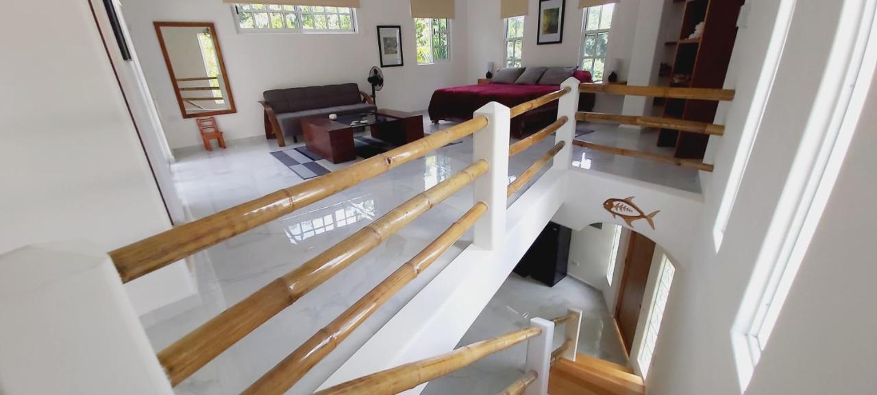 New! Casa Xola Cenote And Fauna Loft Cozumel Exterior photo